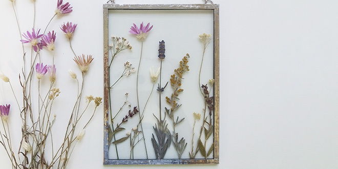 pressed petal projects